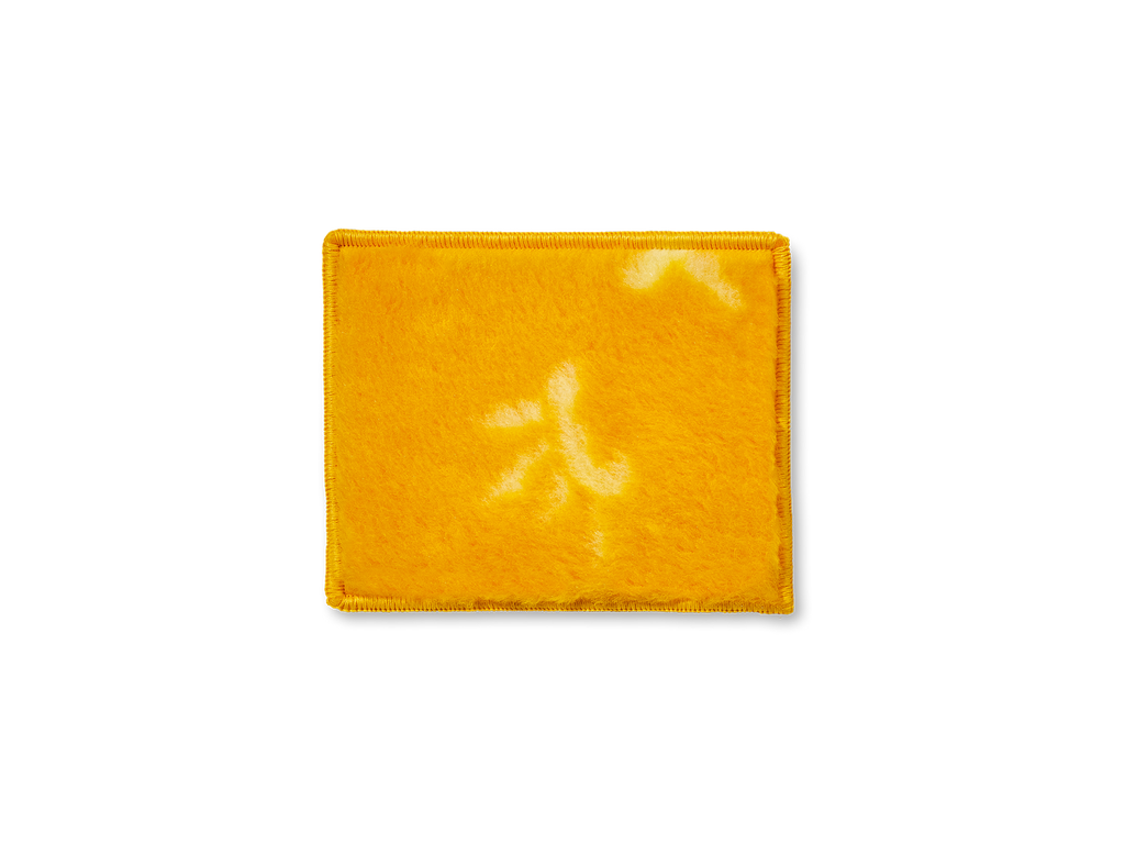 Ministar Polier